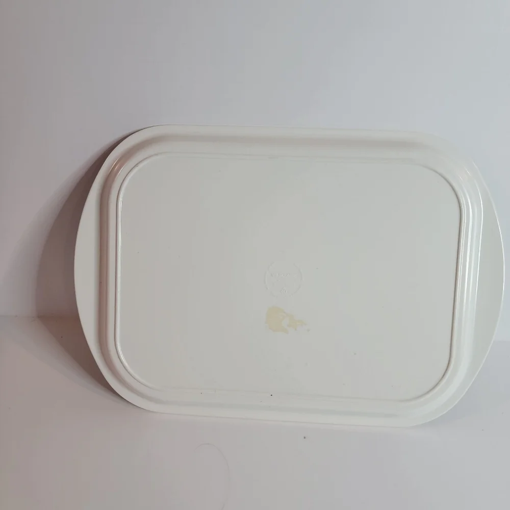 2 Wilscombe Wellington Melamine Trays Lemons and Fruits Persimmons, Apples +